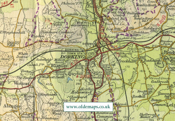 Dorking Map